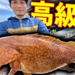 Thumbnail of related posts 144