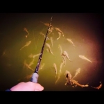 Thumbnail of post image 033