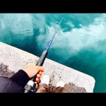 Thumbnail of post image 031