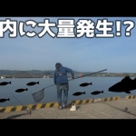 Thumbnail of post image 088