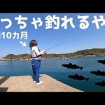 Thumbnail of post image 091