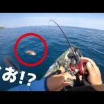 Thumbnail of post image 042