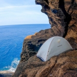 Thumbnail of post image 155