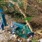 Thumbnail of post image 172