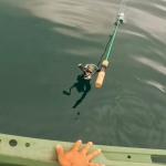 Thumbnail of post image 102