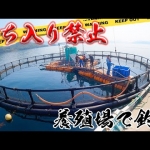 Thumbnail of related posts 104