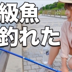 Thumbnail of related posts 056