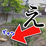 Thumbnail of related posts 159