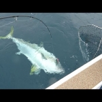 Thumbnail of related posts 066