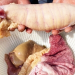 Thumbnail of related posts 055