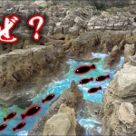 Thumbnail of related posts 025