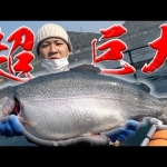 Thumbnail of related posts 174