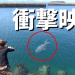 Thumbnail of related posts 188