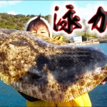 Thumbnail of post image 066