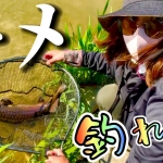 Thumbnail of post image 102