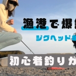 Thumbnail of related posts 174