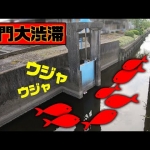 Thumbnail of post image 008