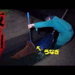 Thumbnail of post image 087