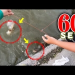 Thumbnail of post image 154