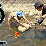 Thumbnail of related posts 112