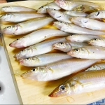 Thumbnail of related posts 124