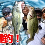 Thumbnail of related posts 156