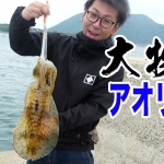 Thumbnail of related posts 089