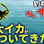 Thumbnail of post image 013