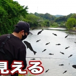 Thumbnail of post image 003