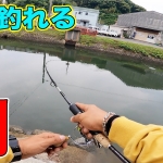 Thumbnail of post image 065