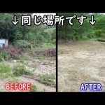 Thumbnail of post image 153